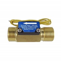 [해외] DIGITEN FS-C01 G1/2 Male Thread Water Flow Switch with Filter 0-2A/ 0-220V(AC or DC)