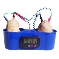 [해외] Potato Clock with No Mess Holder, Fruit Clock