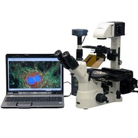 [해외] 400X-600X Phase Contrast Inverted Fluorescence Microscope+3MP Camera