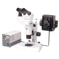 [해외] BestScope BS-3060FB Fluorescent Stereo Microscope