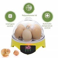 [해외] SUNCOO Mini 7 Egg Hatcher Incubator with Temperature Control, Digital Poultry Hatching for Chickens Ducks Birds Small