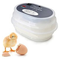 [해외] Magicfly Digital Mini Fully Automatic Egg Incubator 9-12 Eggs Poultry Hatcher for Chickens Ducks Goose Birds