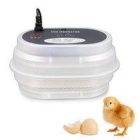 [해외] Flexzion Egg Incubator Cabinet for Chicken - Digital Mini Fully Poultry 9-12 Egg Hatcher Brooder Machine with Adjustable Automatic Egg Tuning Tray Temperature Controller for Duck G
