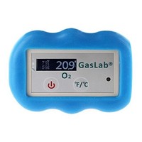 [해외] SAN-102 - Oxygen Micro Gas Meter