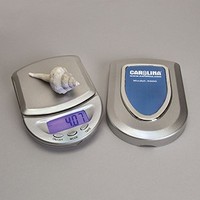 [해외] Carolina Electronic Pocket Scale, 500 x 0.1 g