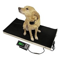 [해외] Vet Livestock Pet Veterinary Platform Scale 700 lbs