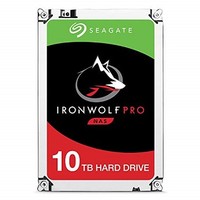 [해외] Seagate 10TB IronWolf Pro 7200RPM SATA 6Gb/s 256MB Cache 3.5-Inch NAS Hard Disk Drive (ST10000NE0004)